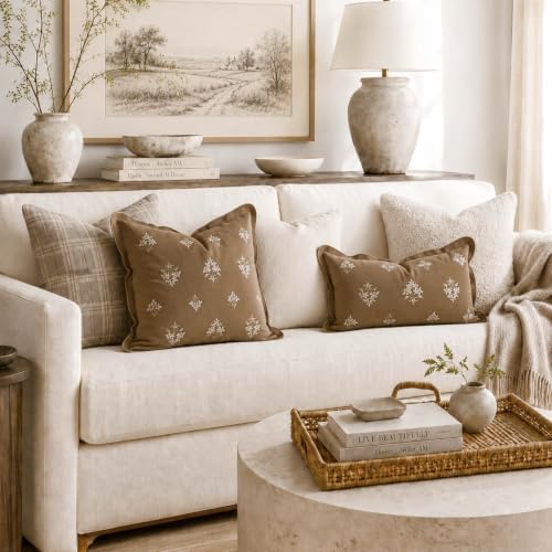 BlissBlush Throw Pillow Cover 20x20, Brown Velvet Decorative Pillow