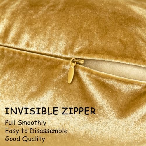 Bunliuys 2 Pack 20x20 Pillow Cover Velvet Pillow Covers, Throw Pillow