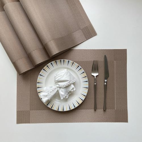 Beydodo Dinner Placemats Set of 10, Placemats for Kitchen Vinyl 18x12