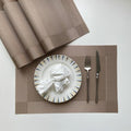 Beydodo Dinner Placemats Set of 10, Placemats for Kitchen Vinyl 18x12