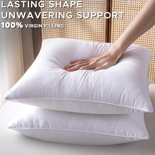 20 x 20 Pillow Inserts Set of 4 Down Alternative Throw Pillow Inserts
