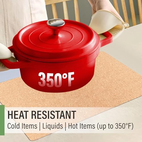 RIMONA'S Heat Resistant Cork Placemats Set of 4, Water Resistant