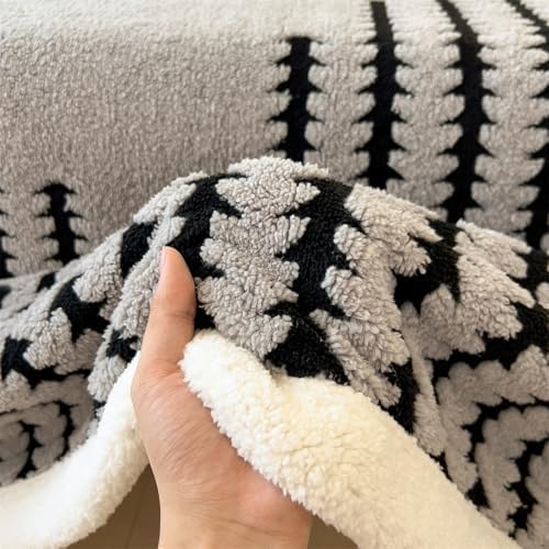 Blanket Fleece Throw Blanket for Couch, Flannel Cozy Thick Warm Soft