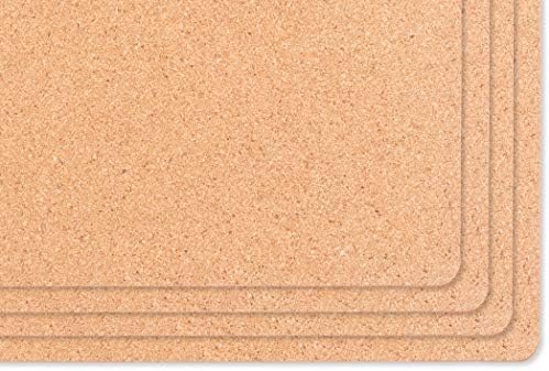 House and Home Cork Placemats 16 x 12-Inch Set of 4