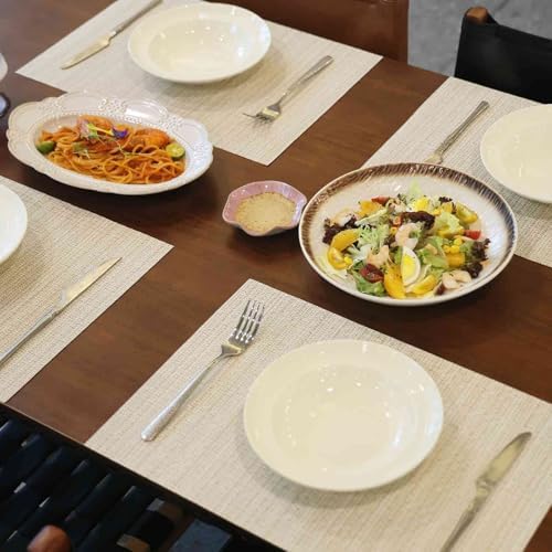 AHHFSMEI Placemats Set of 8 Washable Woven Vinyl Placemats for Dining