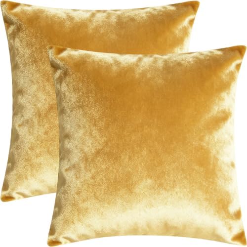 Bunliuys 2 Pack 20x20 Pillow Cover Velvet Pillow Covers, Throw Pillow