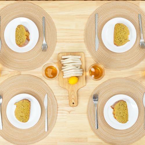 Winknowl Round Braided Placemats Set of 8 Washable Woven Heat