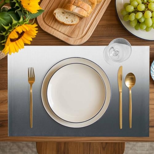 Abstract Ombre Grey Placemats Set of 6 Washable Table Mats for