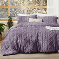 Bedsure Boho Comforter Set Queen, Bedroom Decor Bedding Set Grayish