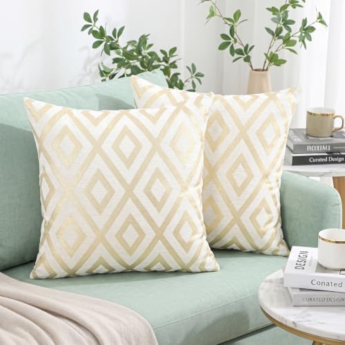 Set of 2 Chenille Jacquard Throw Pillow Covers 20x20 Inches, Luxury