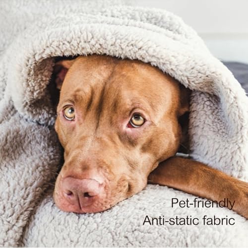 Ultra Soft Cozy Sherpa Throw Blanket, 2 Tones Ombre Light Brown