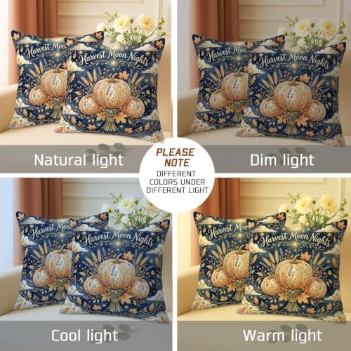 Pumpkins Throw Pillow Covers Set of 2, Rustic Farmhouse Moon Leaves