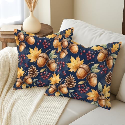 Acorns Throw Pillow Covers Set of 2, Rustic Natural Pinecones Leaves