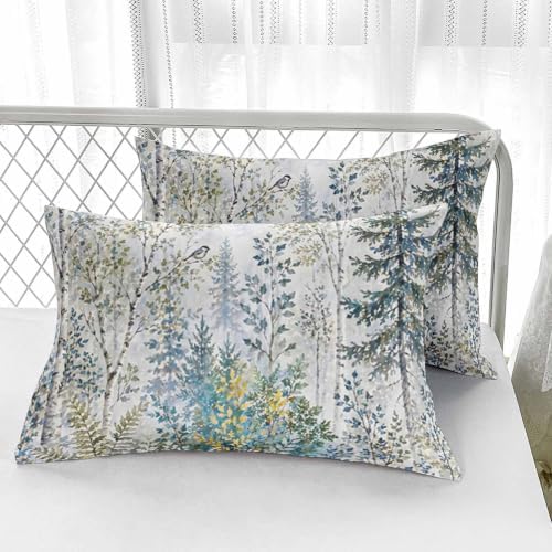 AILONEN Sage Birch Woodland Fitted Sheet Set Twin XL, 3-Piece Soft
