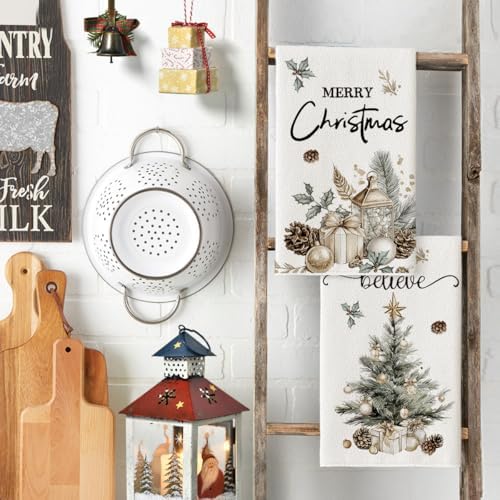 Artoid Mode Pinecone Christmas Kitchen Towels Set of 2 18x26 Inch