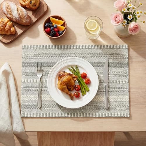 Artoid Mode Dark Grey Woven Braided Stripe Placemats Set of 6-12x18