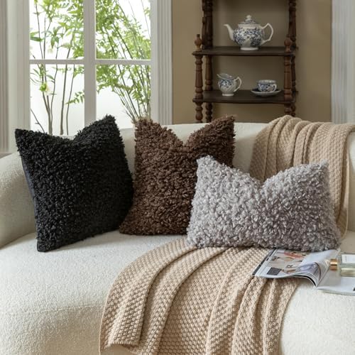 MANDIOO 2 Pieces 18x18 Inch Black Faux Fur Throw Pillow Covers Boucle