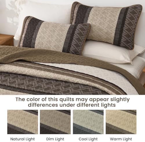 Dinjoy Boho Queen Quilt Set, Striped Soft Bedspread, Taupe