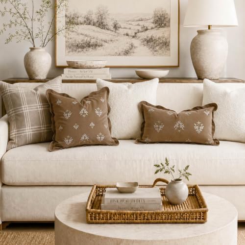 BlissBlush Throw Pillow Cover 20x20, Brown Velvet Decorative Pillow