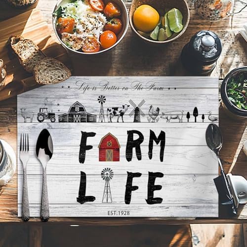 Placemats Set of 8, Farmhouse Life Woven Placemat, Linen Place Mats