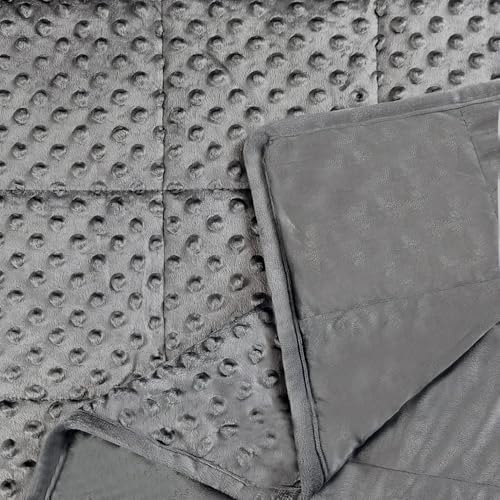 ALANSMA Reversible Weighted Blanket for All Season, Luxury Velvet
