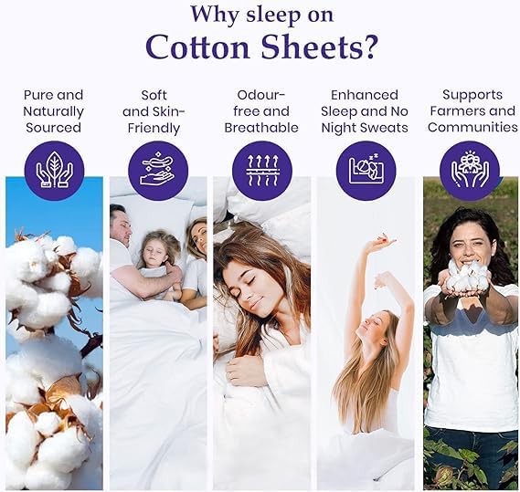 100% Egyptian Cotton 800 Thread Coun 1 Piece Fitted Sheet Twin XL Size