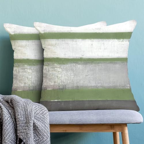 AEIOAE Sage Green Grey Pillow Covers 18x18 Set of 2 Beige Abstract Art