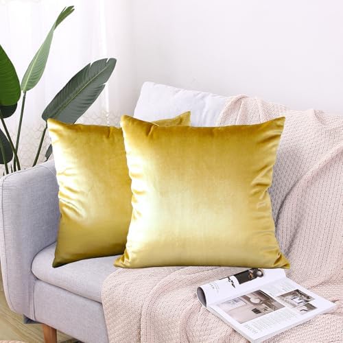 Hibate 2 Pack Soft Velvet Couch Throw Pillow Covers 20x20 Inch for