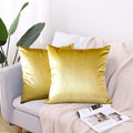 Hibate 2 Pack Soft Velvet Couch Throw Pillow Covers 20x20 Inch for