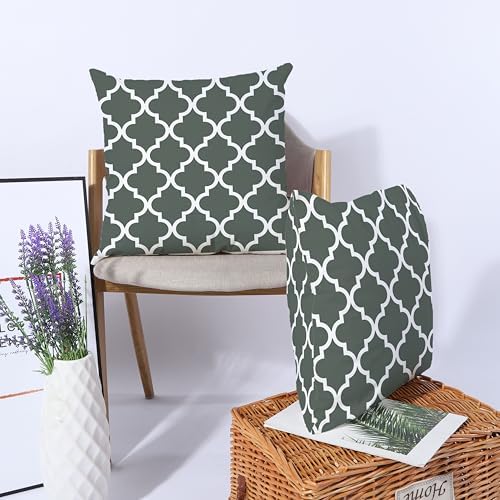 TAOSON Pack of 2, Quatrefoil Pillow Covers 20x20 Inch - Green Grey &