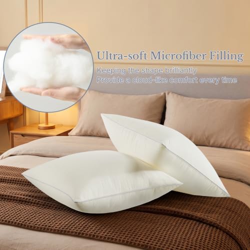 Leeden 20 x 20 Throw Pillow Inserts Set of 2 Pillow Forms for Sofa