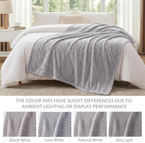 Exclusivo Mezcla Soft Fleece Blanket Queen Size for Bed, Sofa, Light