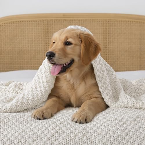 WDCOZY Chunky Cable Knit Throw Blanket Super Soft Warm Knitted Throw