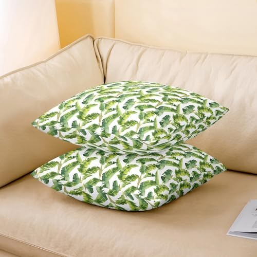 jejeloiu Palm Leaf Throw Pillow Covers Set of 2 22 x 22-Inch Kids Palm