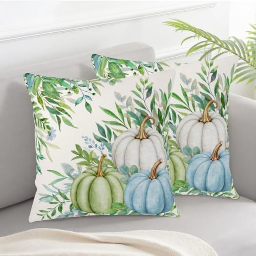 Fall Decorative Pillow Covers 22x22 Set of 2 Autumn Sage Green Blue