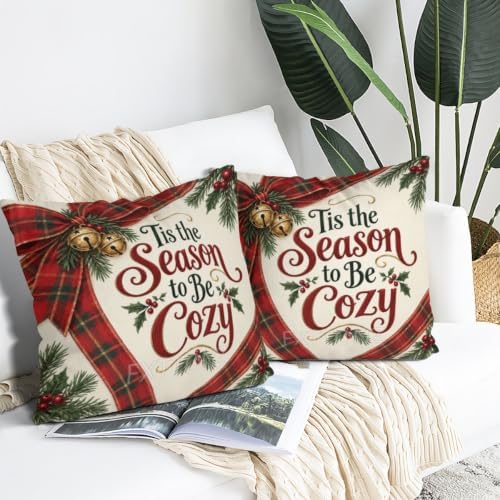 Vintage Plaid Pillow Covers 22x22 Inch Set of 2 Linen for Christmas