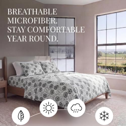 Linen Market 4 Piece Sheet Set Make A Wish Patterned, Queen, Light
