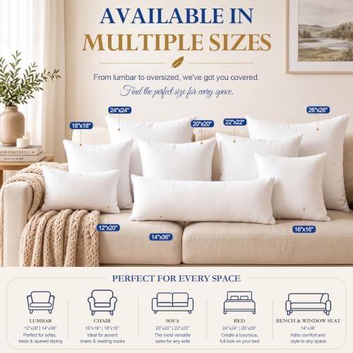 BETU 20x20 Pillow Inserts,Set of 2 Feather Down Throw Pillows for