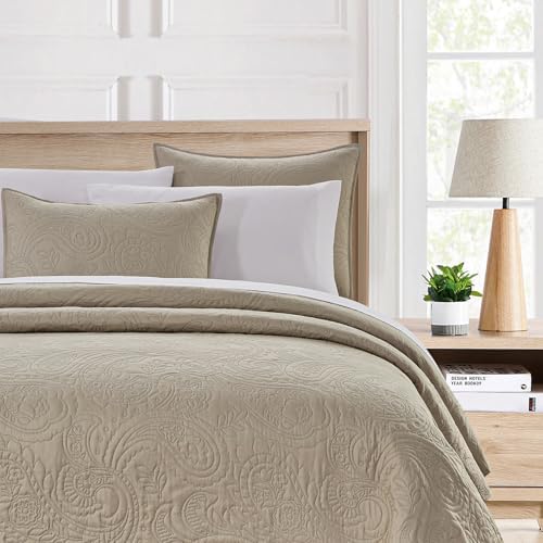 BOURINA Ultrasonic Beige Queen Quilt Set 3-Piece Bedding Set Bedspread