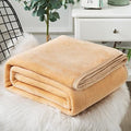 Velvet Blanket King Size Queen Blanket Fleece Throw Twin for