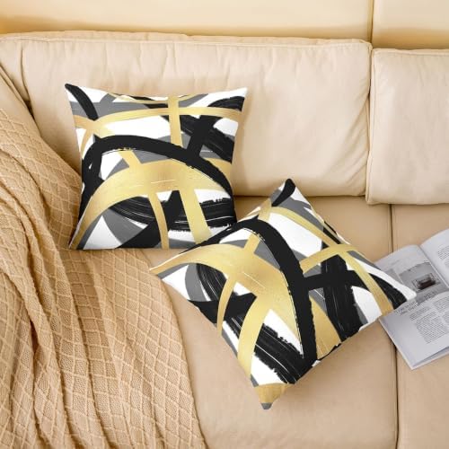 Feelyou Vintage Abstract Throw Pillow Covers Set of 2 Black Gold Grey