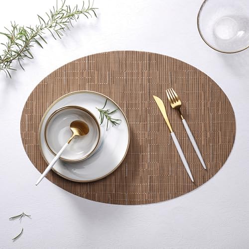 Kitchen Placemats Set of 2 Woven, Decorative Table Mats Wipeable PVC