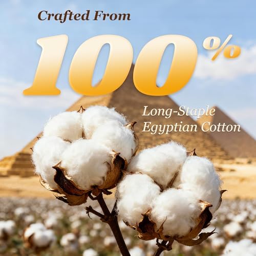 LBRO2M 100% Egyptian Cotton Sheet 1000 TC, Durable 16” Deep Pocket