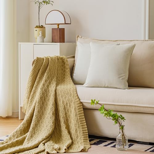 NiNi ALL Beige Outdoor Pillows Set of 2 Decorative Farmhouse
