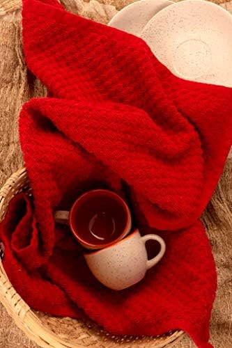 DG Collections Terry Dish Towels, 100% Cotton Kitchen Towels, 2 Sets