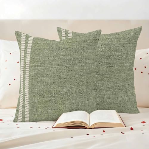 Sage Green Outdoor Waterproof Throw Pillow Covers Set of 2-18x18 Inch