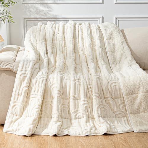 Cottonblue Weighted Blanket for Adults 15lbs Queen Size 60"x80" Soft