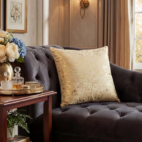 AVOIN colorlife Gold Foil Velvet Throw Pillow Covers 20 x 20 Inch