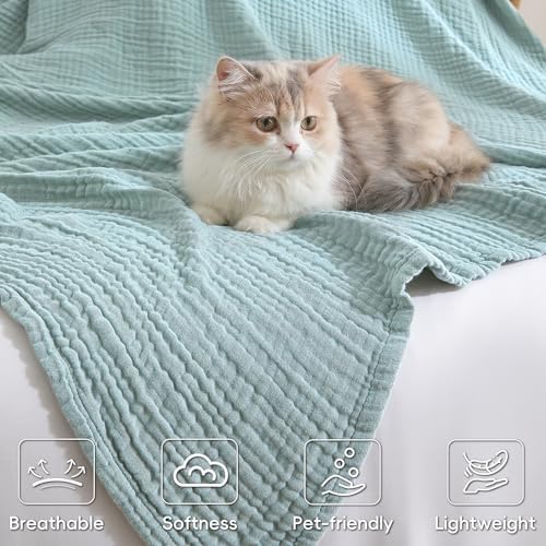 David's Home Cotton Muslin Blanket, Soft Cooling Summer, Queen, Teal