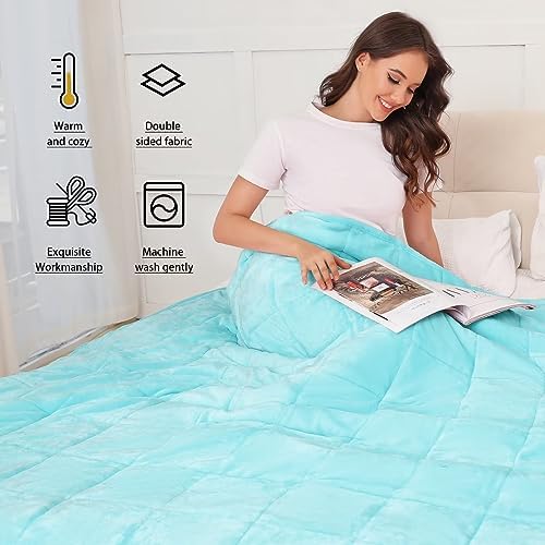 Alomidds Weighted Blanket for Adults, 12lb Twin Size Weighted